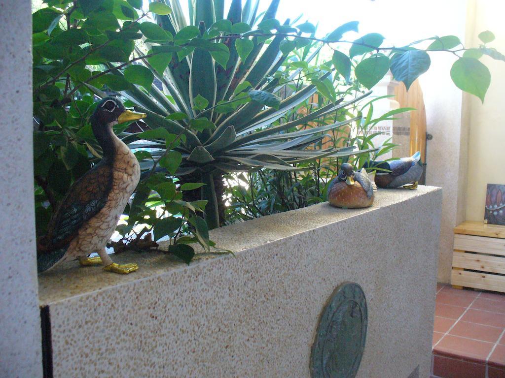 Alongs Garden Bed and Breakfast Heng-ch'un Exterior foto